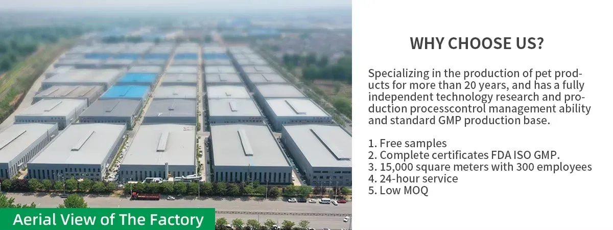 Slide 7