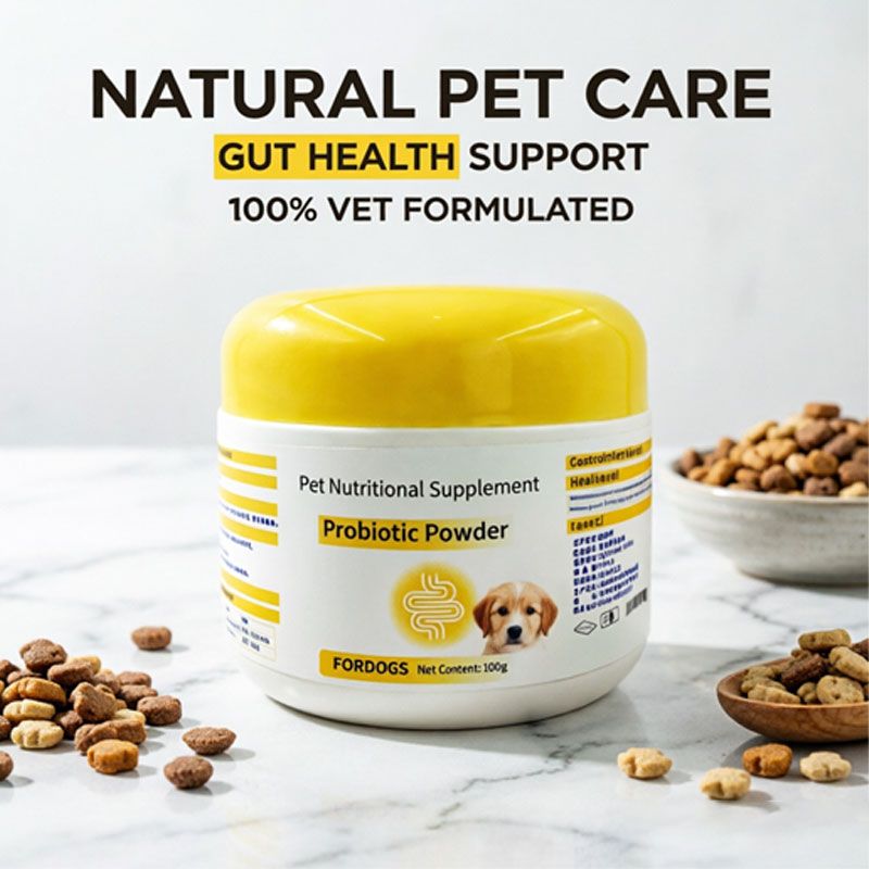 Winter Pet Care Guide: Keeping Dogs & Cats Safe in the Cold