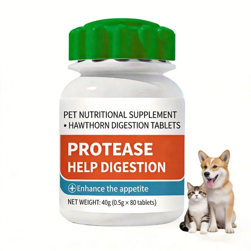 Digestive Supplements for Dogs and Cats: What to Check on the Label