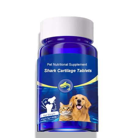 Dogs hide pain by instinct. Chewing, snapping or refusing walks can mean discomfort, not defiance — the signs owners misread, and what to do next.
