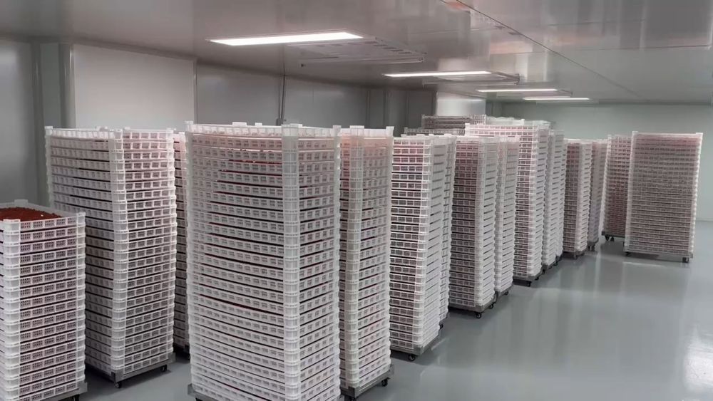 Doux Biotech facility photo 9