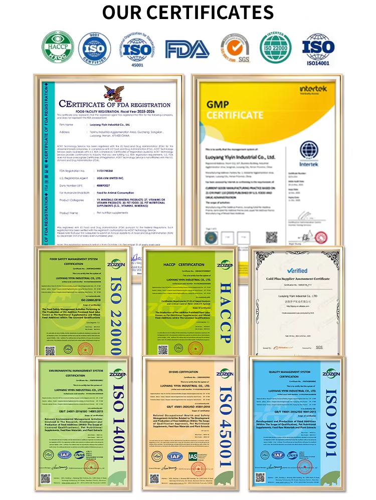 Pet Lactoferrin Supplement: Advanced Immune Support — Product image enlarged